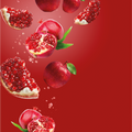 WALA Mirror 10ml Pomegranate Apple 35mg/ml